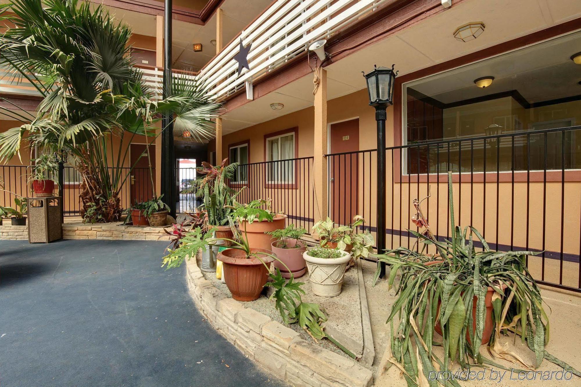 Budget Host Inn Arlington Exterior foto