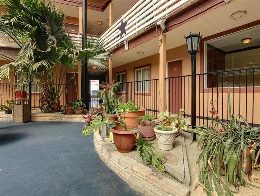 Budget Host Inn Arlington Exterior foto